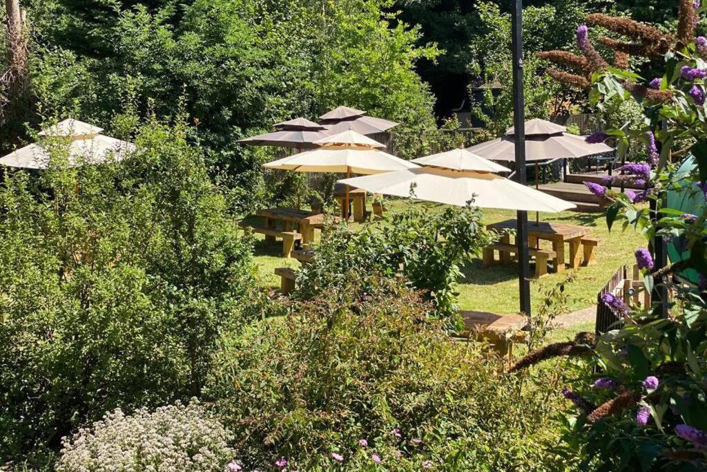 Martin Mill17Th Century Boutique Getaway In The Countrysideアパートメント エクステリア 写真